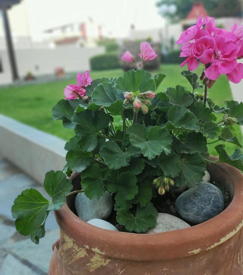 Villa Aphrodite Kolimvárion Luaran gambar