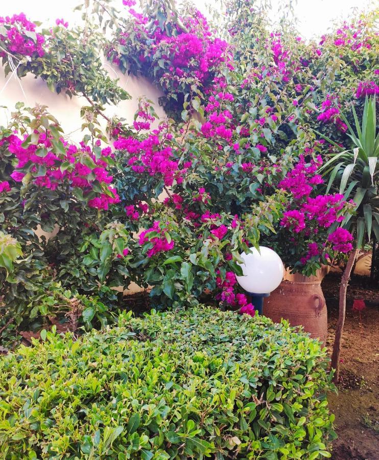Villa Aphrodite Kolimvárion Luaran gambar